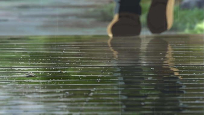 新手养鱼,养什么鱼好?